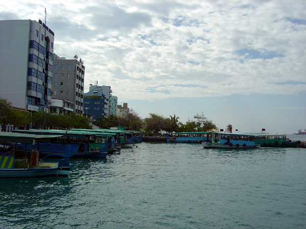 DSC00752