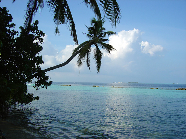DSC00852
