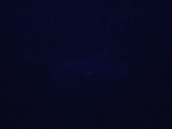 DSC00862