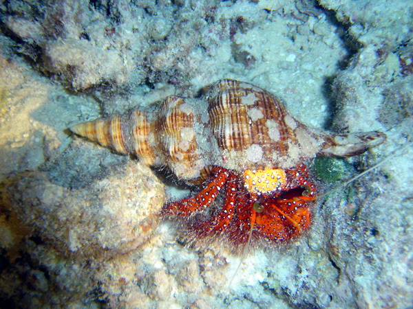 DSC01047