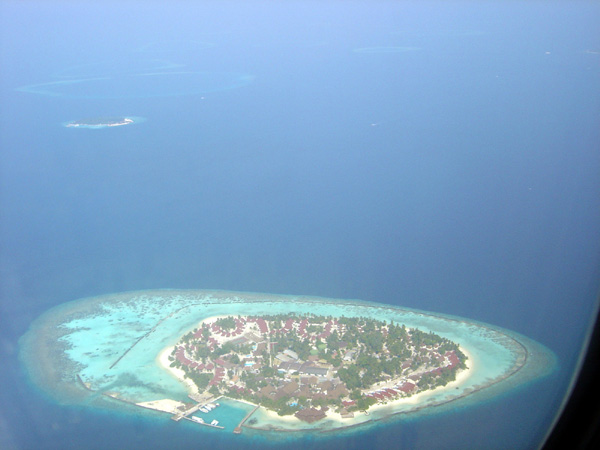 DSC01131
