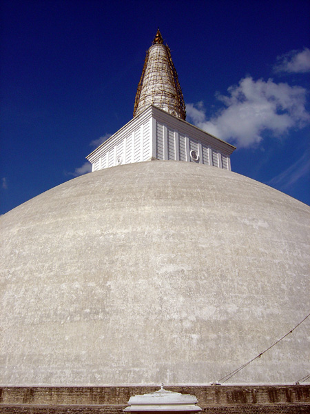 DSC01216