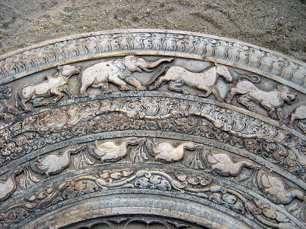 DSC01222