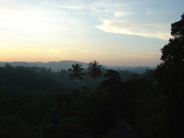 DSC01261
