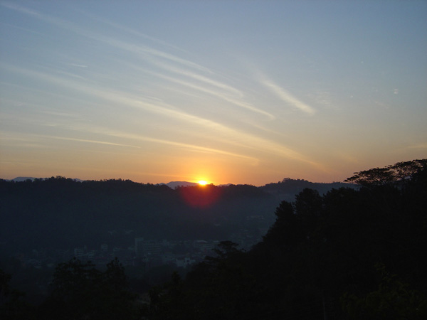 DSC01264