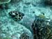 IMG_5090